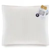 Poduszka Natural Exclusive Silver 40x40